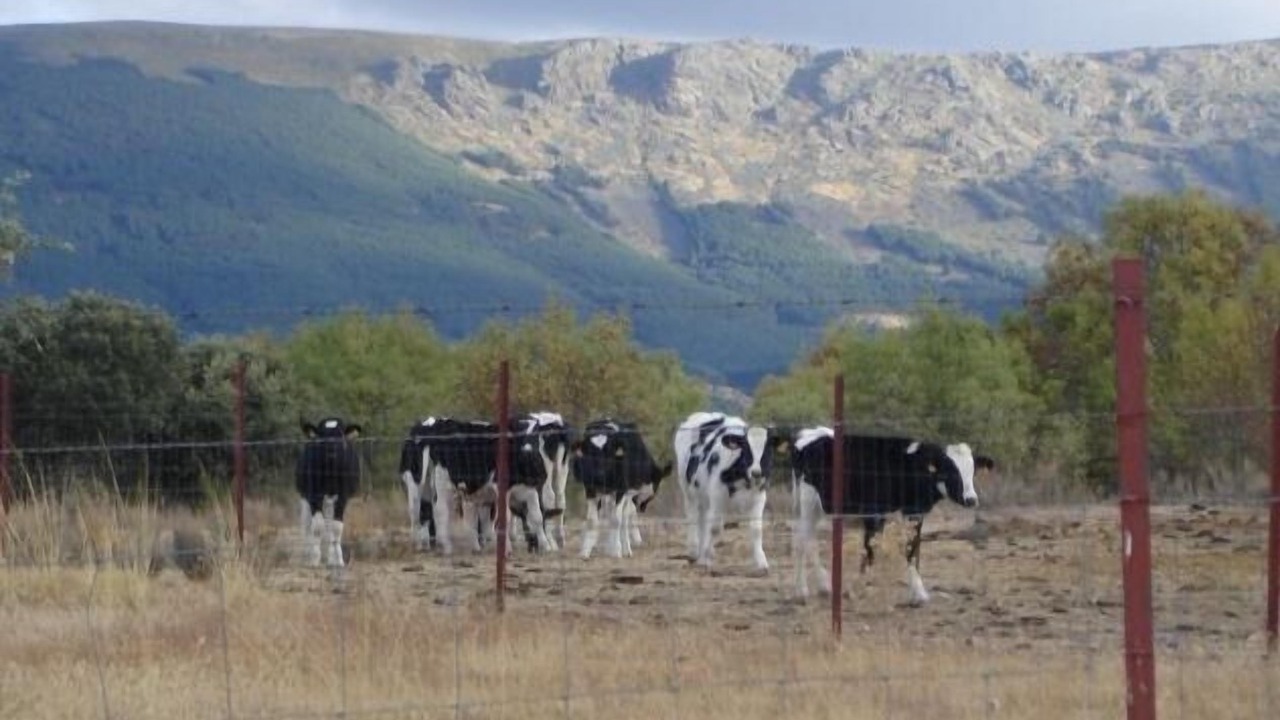 Photo of Others in Huerta