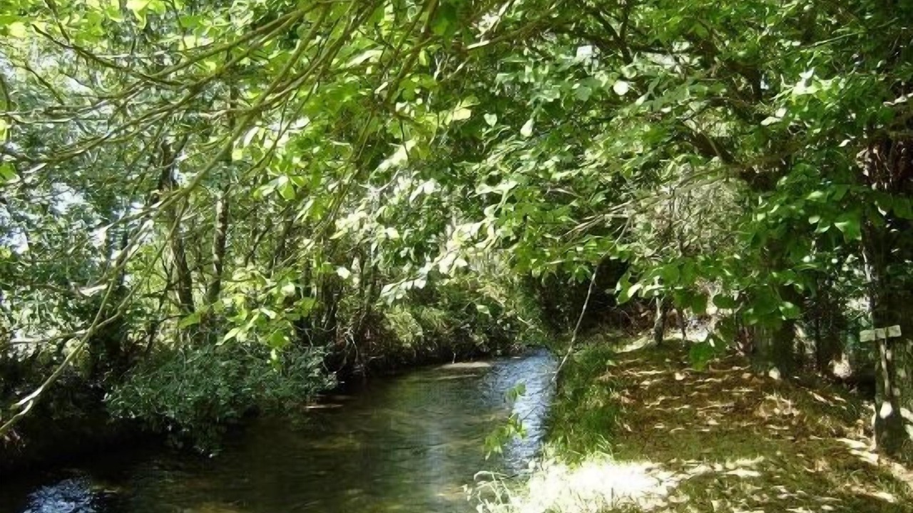 Photo of Outdoor in Villaluenga de la Vega