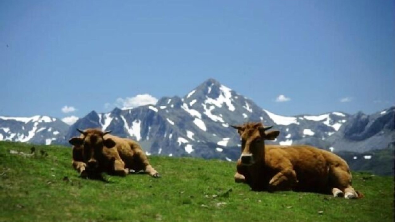 Photo of Outdoor in Caunedo