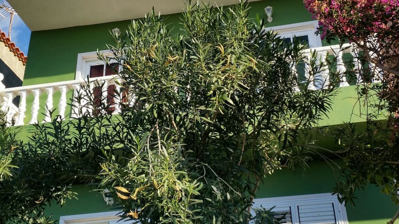 Photo of Outdoor in Alojera