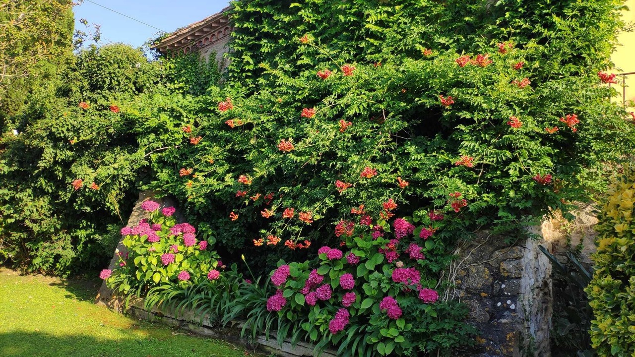 Photo of Outdoor in Sant Pol