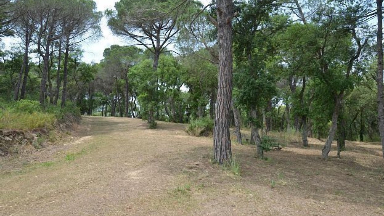 Photo of Outdoor in Santa Cristina de Aro