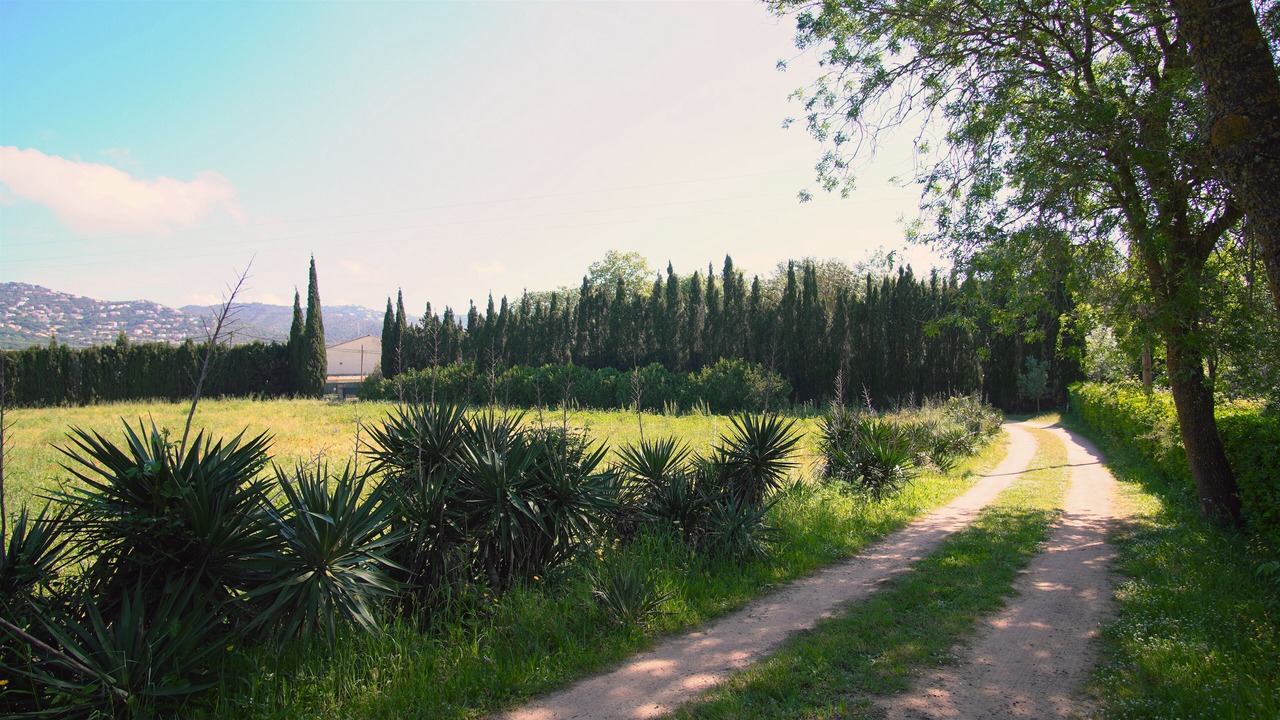 Photo of Others in Santa Cristina de Aro