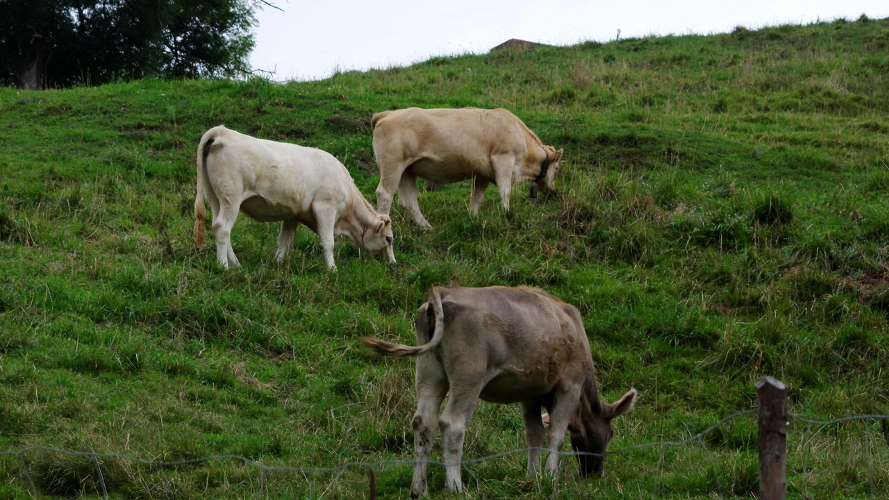 Photo of Outdoor in Viernoles