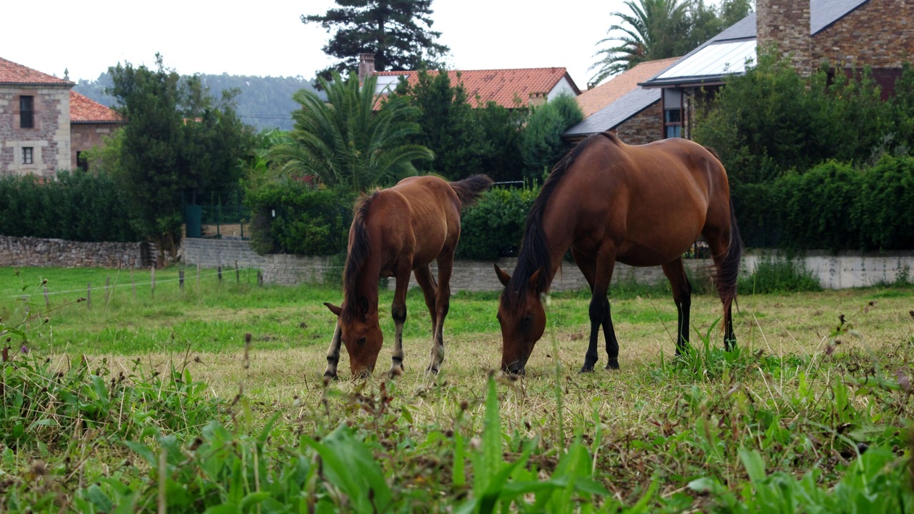 Photo of Outdoor in Viernoles