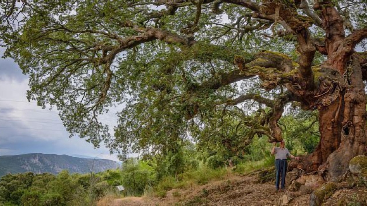 Photo of Outdoor in Carucedo