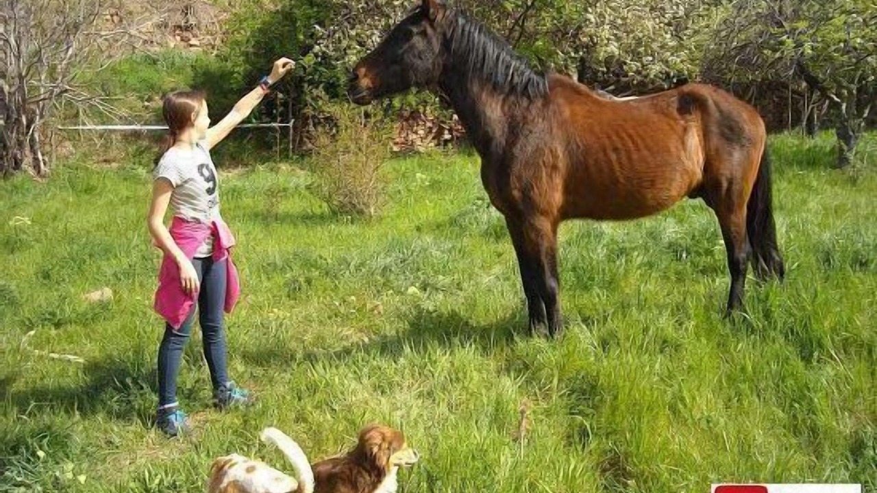Photo of Others in Aranda de Moncayo