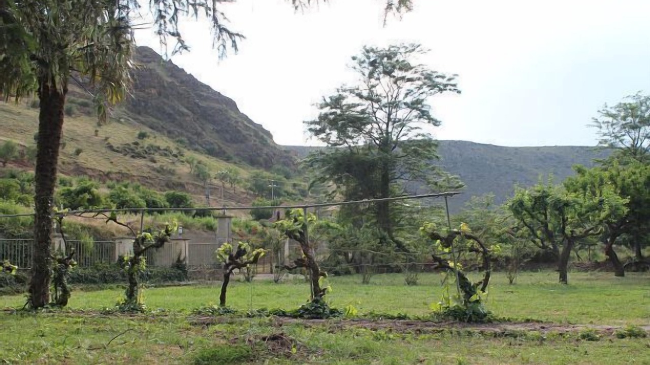 Photo of Outdoor in Aranda de Moncayo