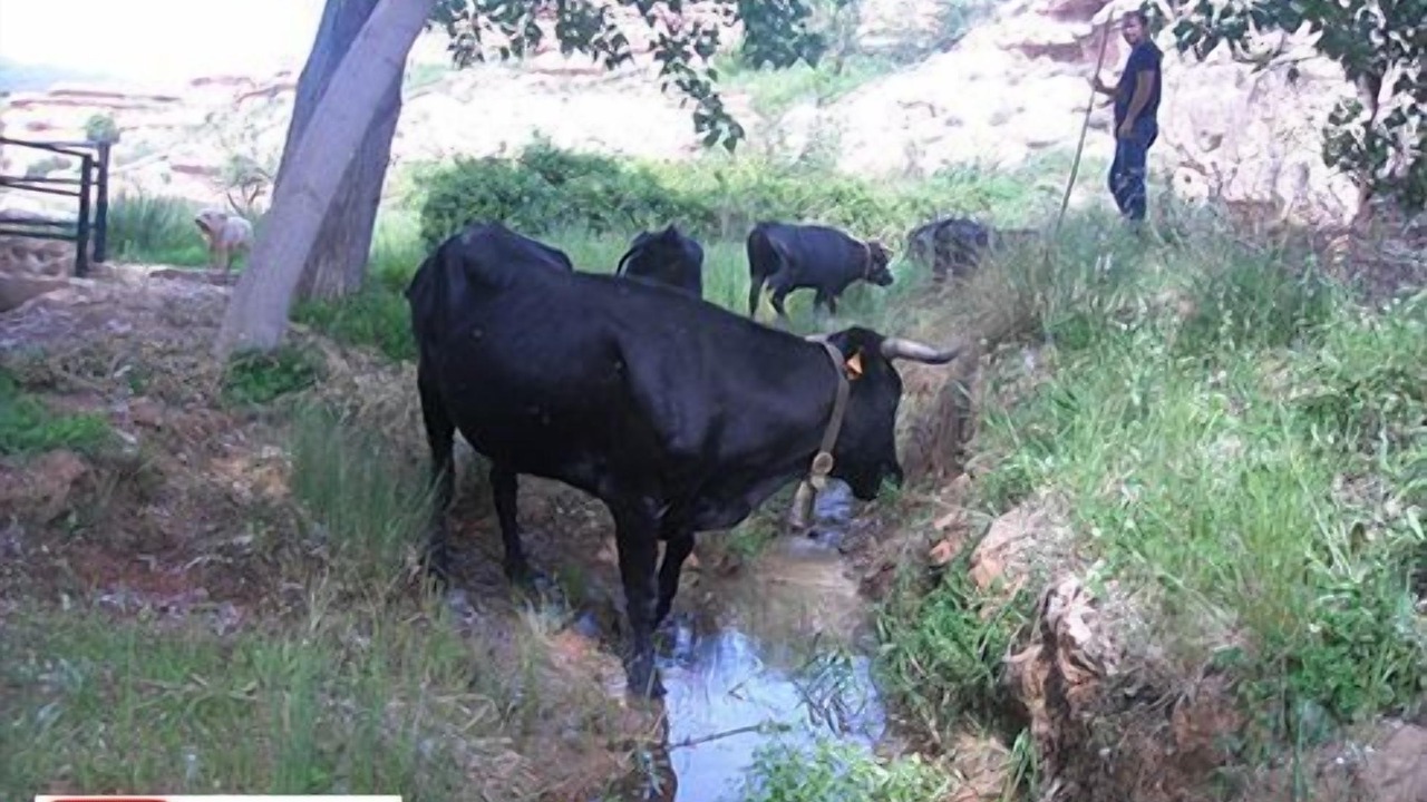 Photo of Outdoor in Aranda de Moncayo