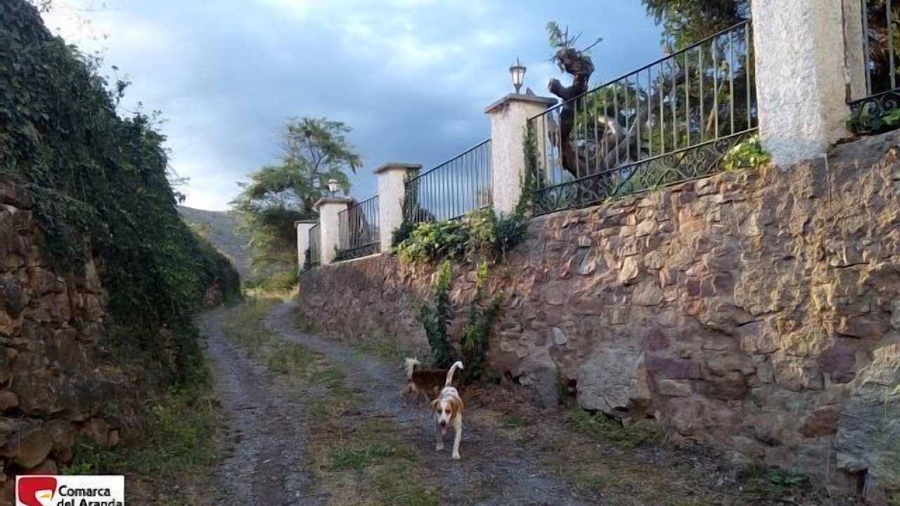 Photo of Outdoor in Aranda de Moncayo