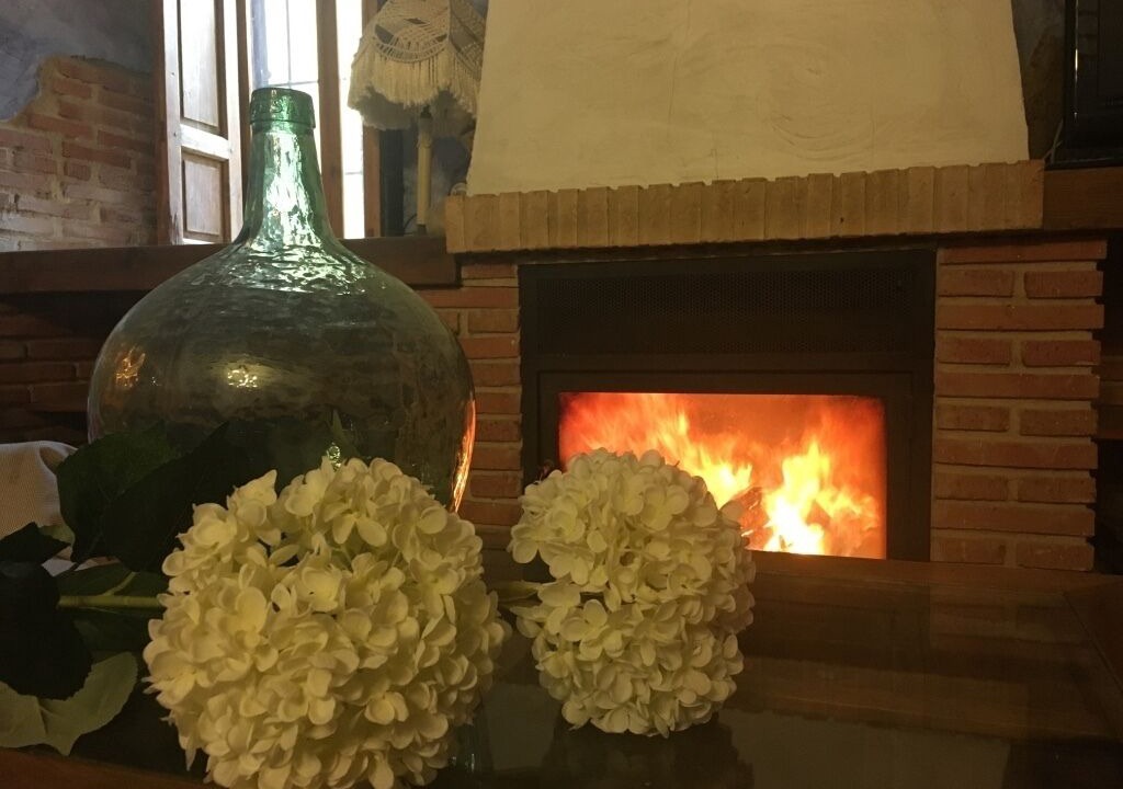 Photo of Livingroom in Fuente Alamo