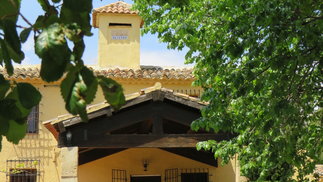 Photo of Outdoor in Fuente Alamo