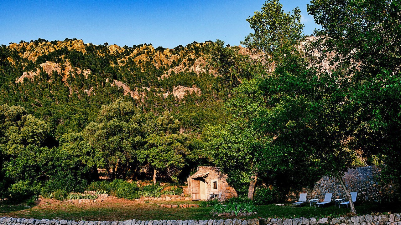 Photo of Others in Valldemossa