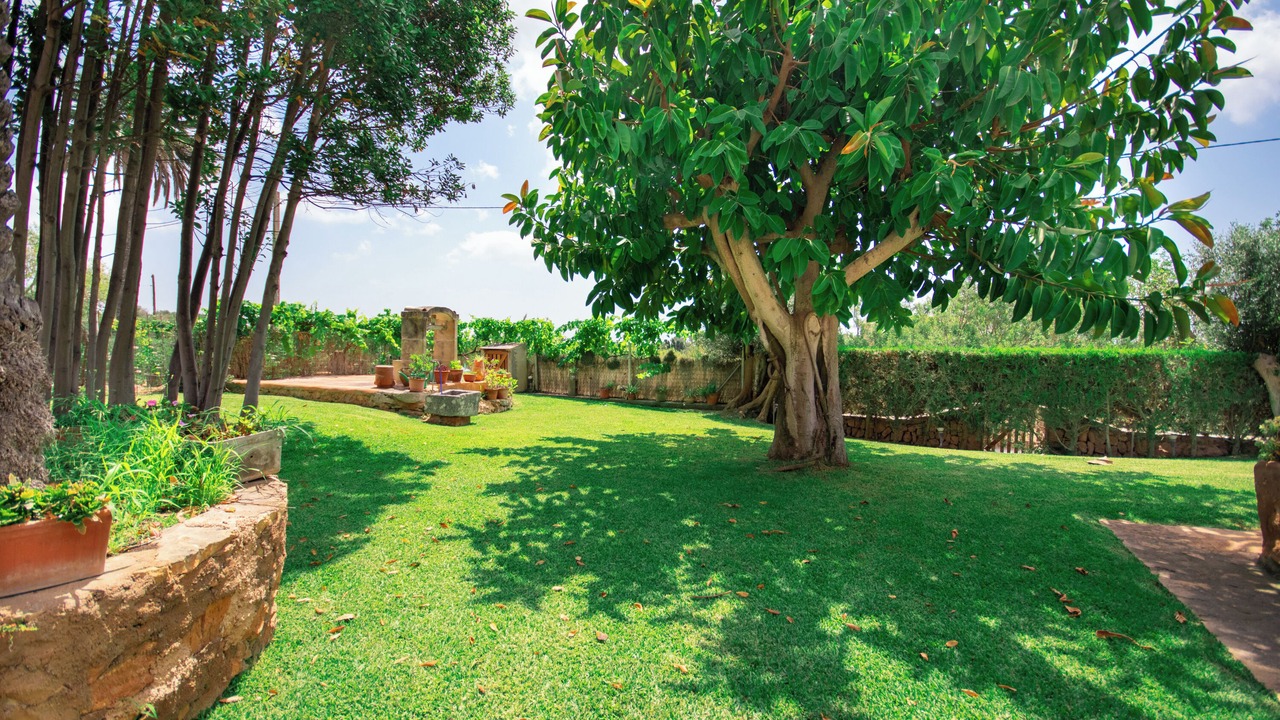 Photo of Outdoor in Santanyi