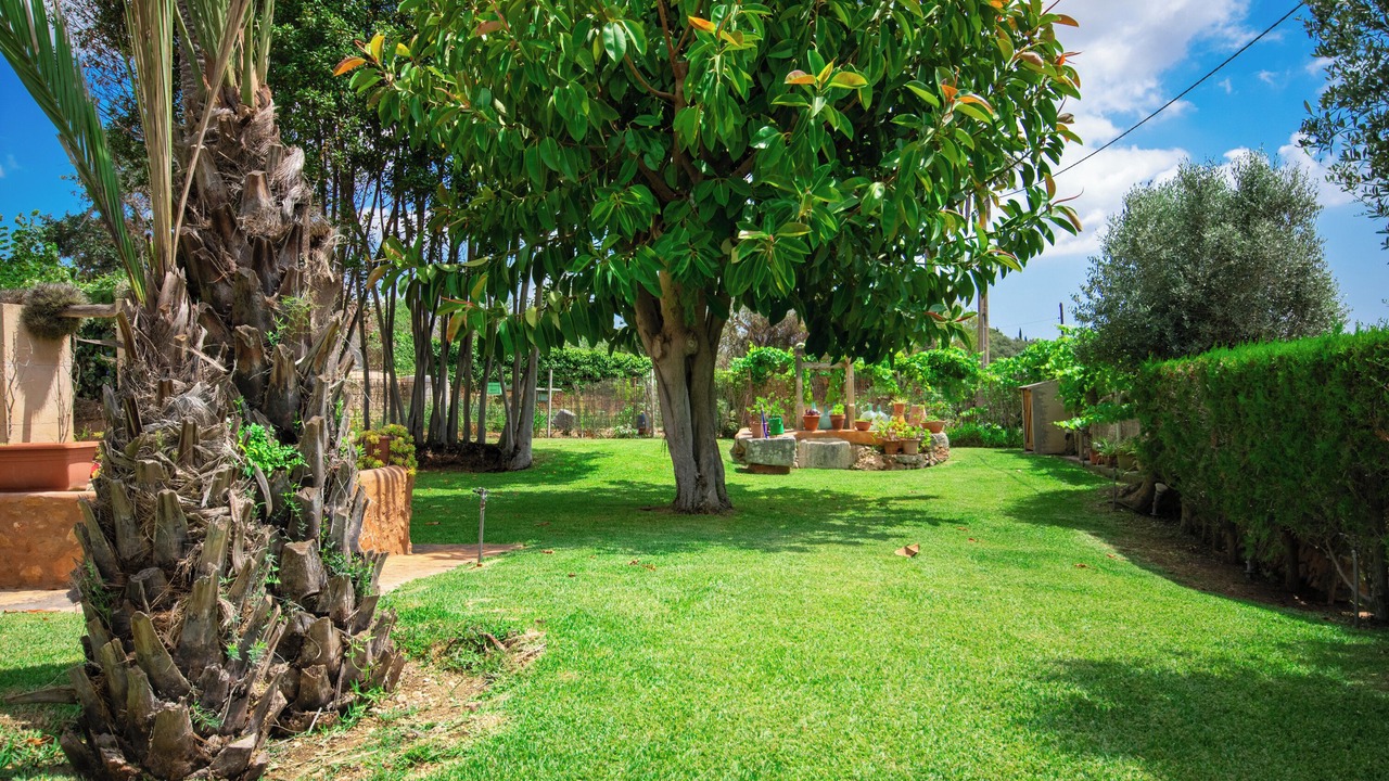 Photo of Outdoor in Santanyi