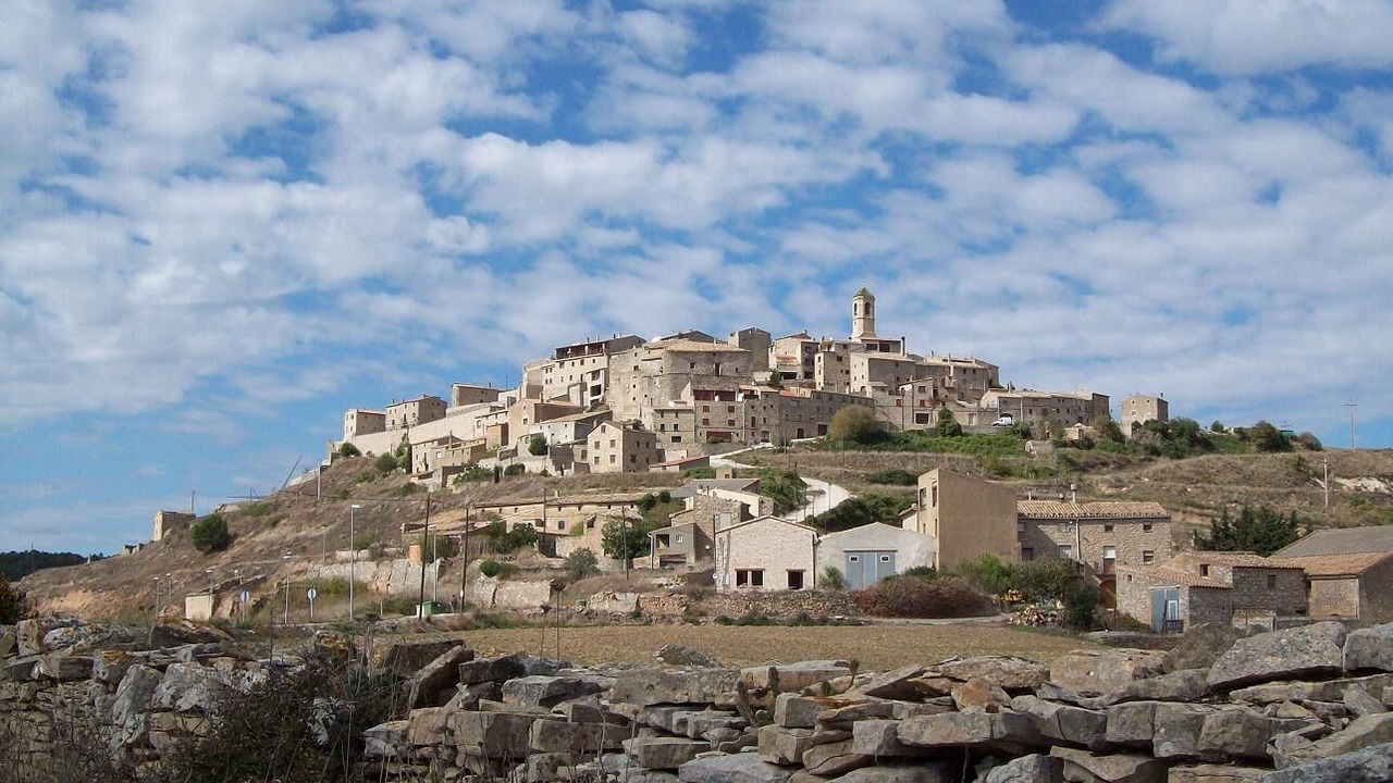 Photo of Outdoor in Fores