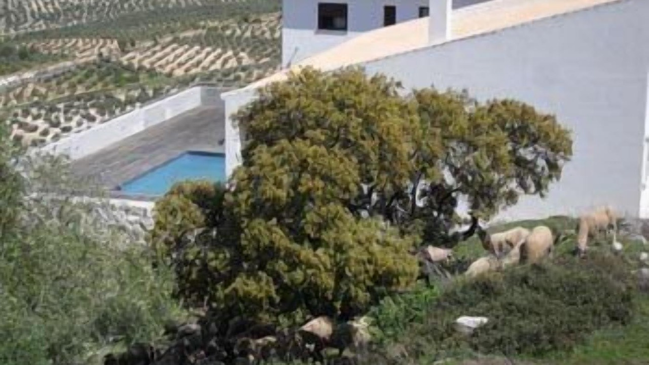 Photo of Outdoor in Luque