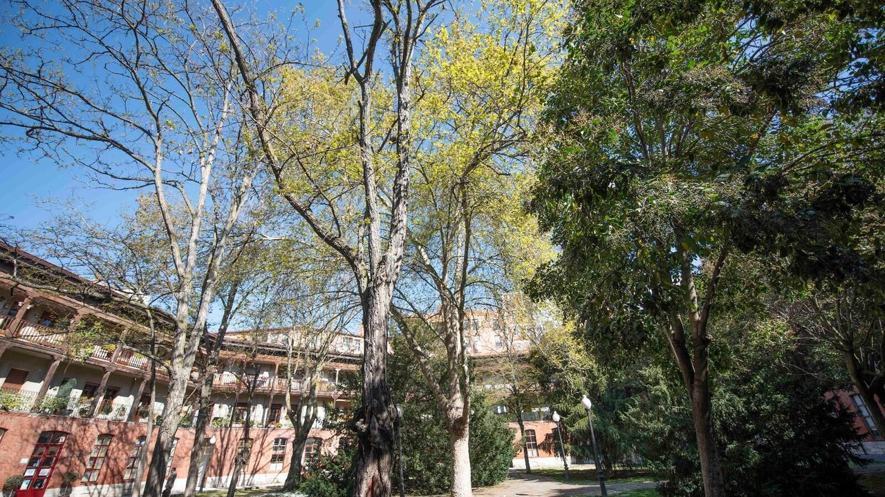 Photo of Outdoor in Valladolid City Centre
