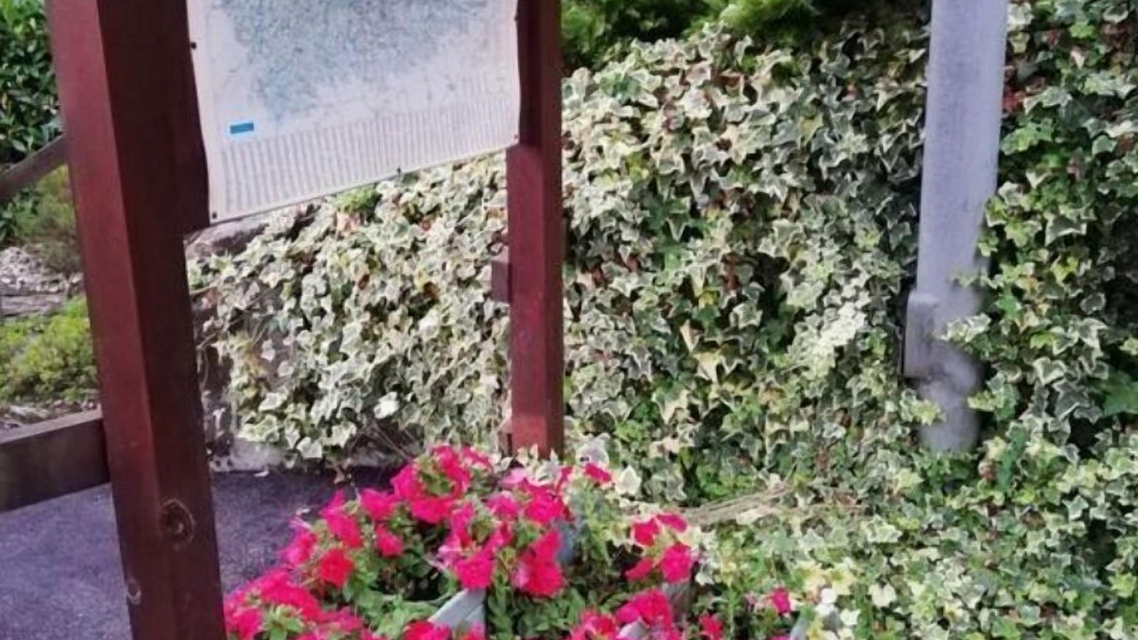 Photo of Outdoor in Arriondas