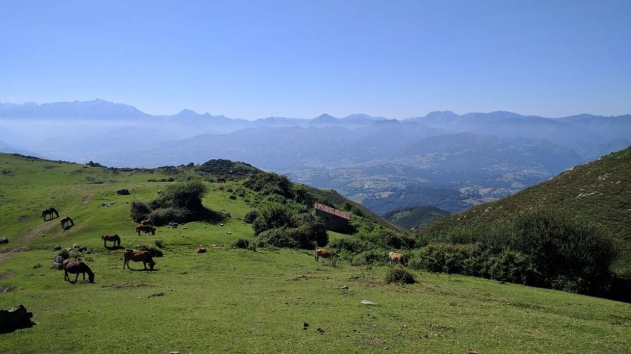 Photo of Outdoor in Arriondas