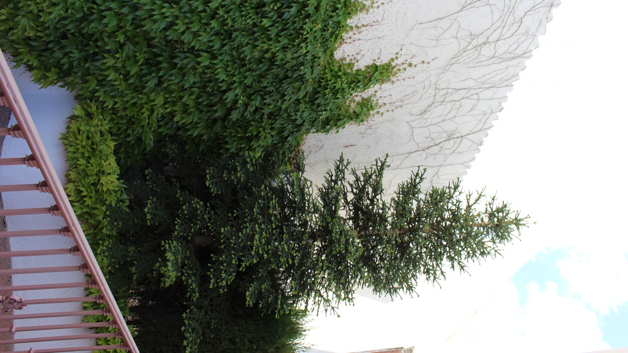 Photo of Others in Campillo de Arenas