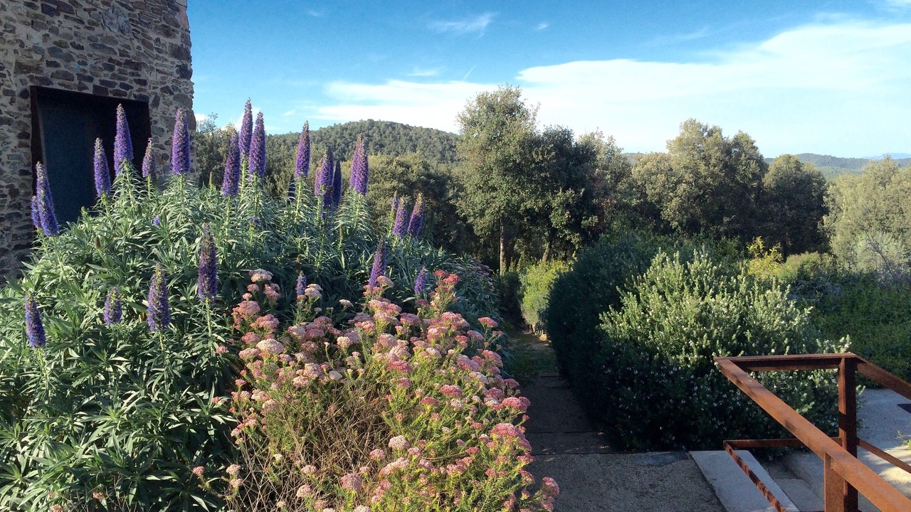 Photo of Outdoor in Santa Pellaia