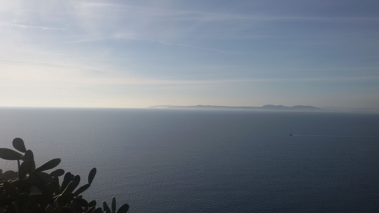 Photo of Others in Empuriabrava