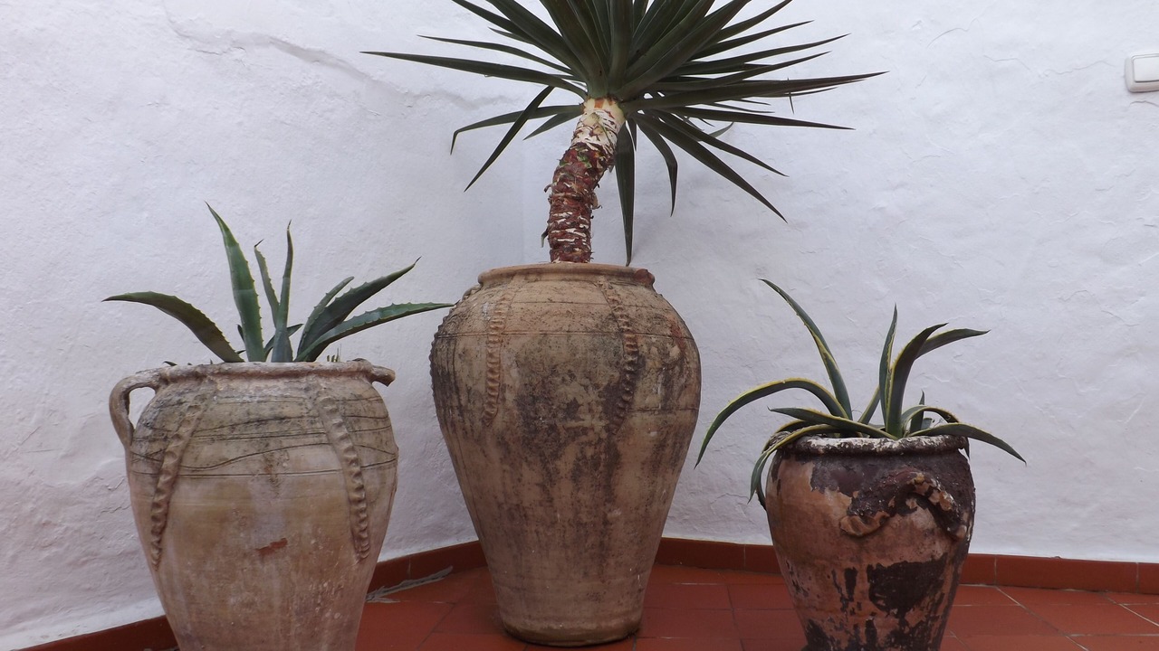 Photo of Outdoor in Competa