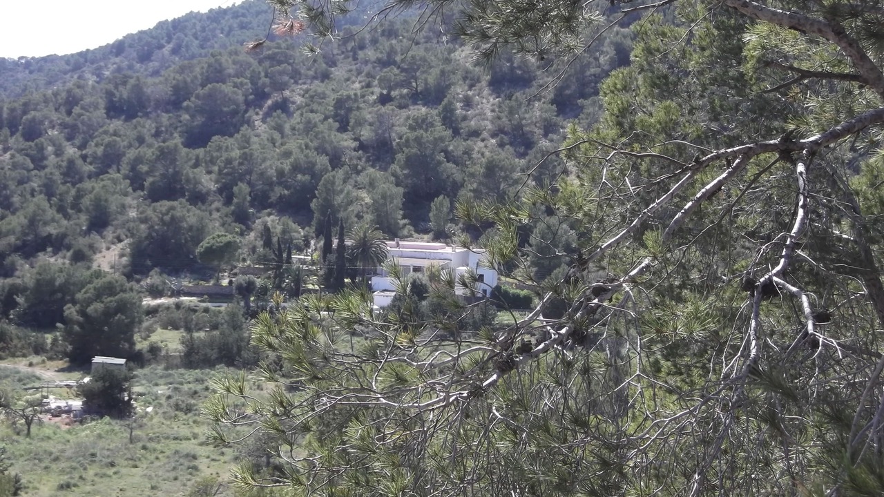 Photo of Outdoor in Sant Josep de sa Talaia