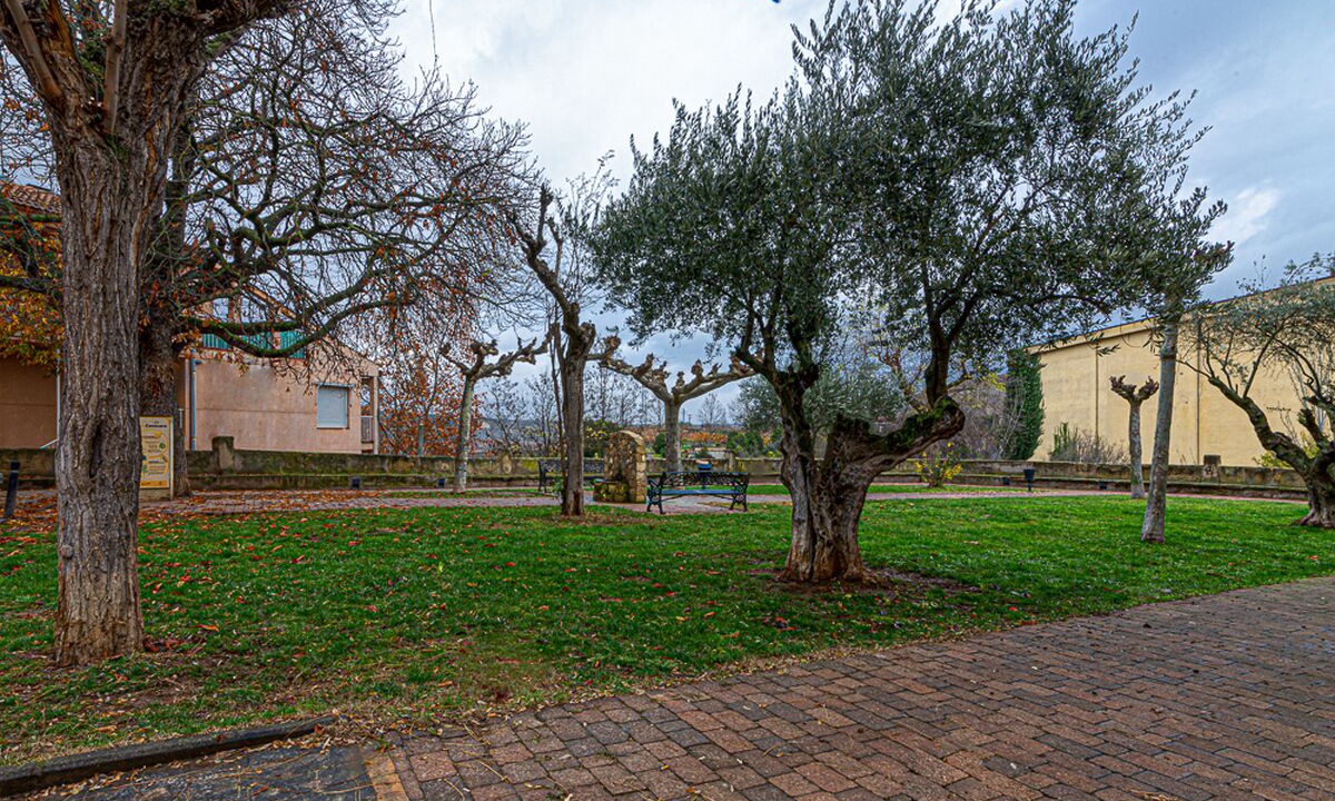 Photo of Outdoor in Cenicero