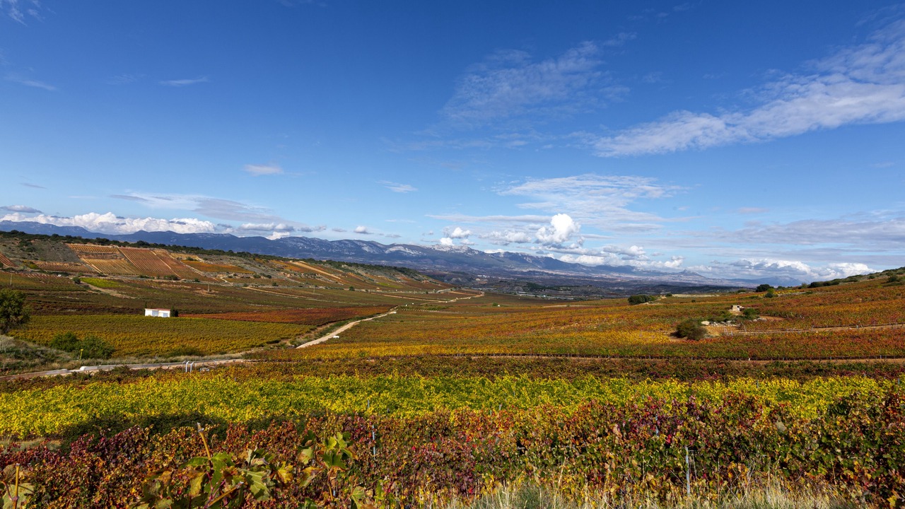 Photo of Outdoor in Cenicero