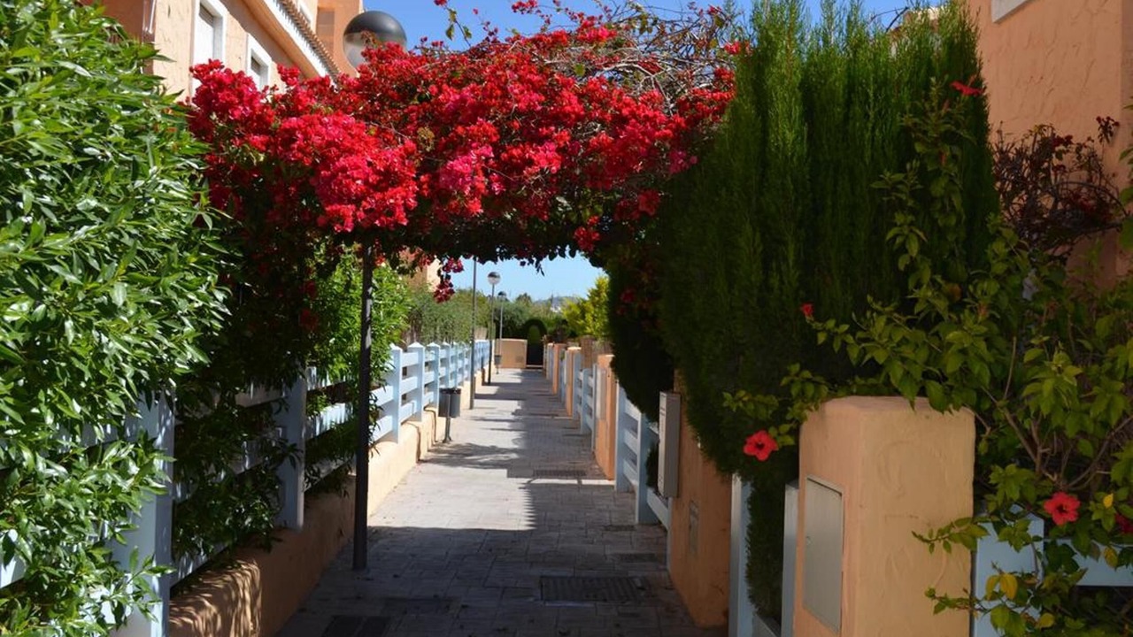 Photo of Outdoor in Puerto Rey
