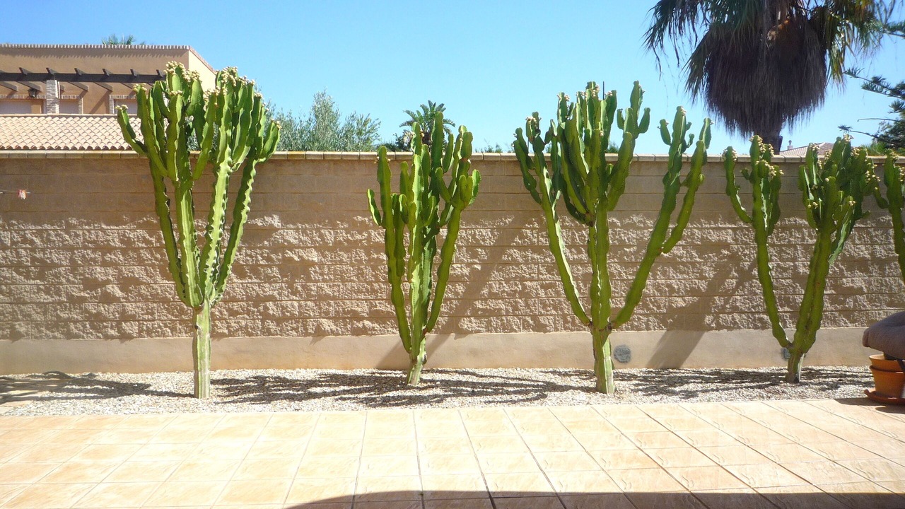 Photo of Outdoor in Retamar