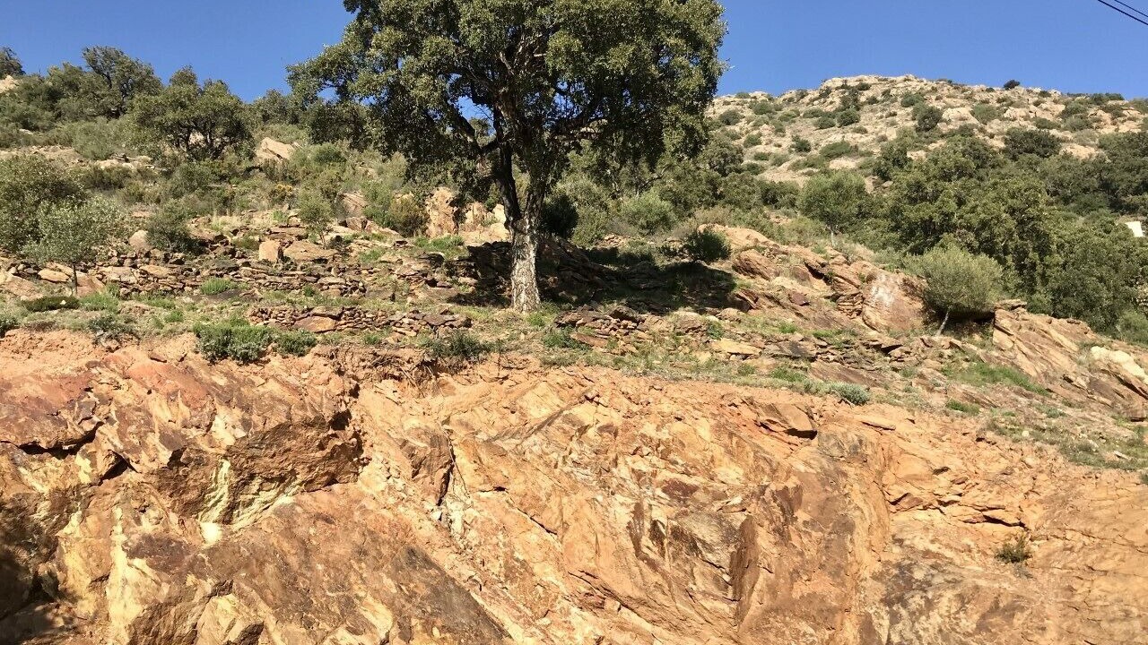 Photo of Outdoor in El Mas Fumats