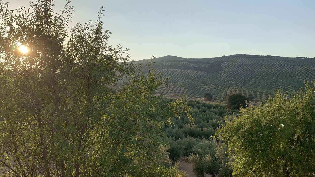 Photo of Outdoor in Urbanizacion Montesol