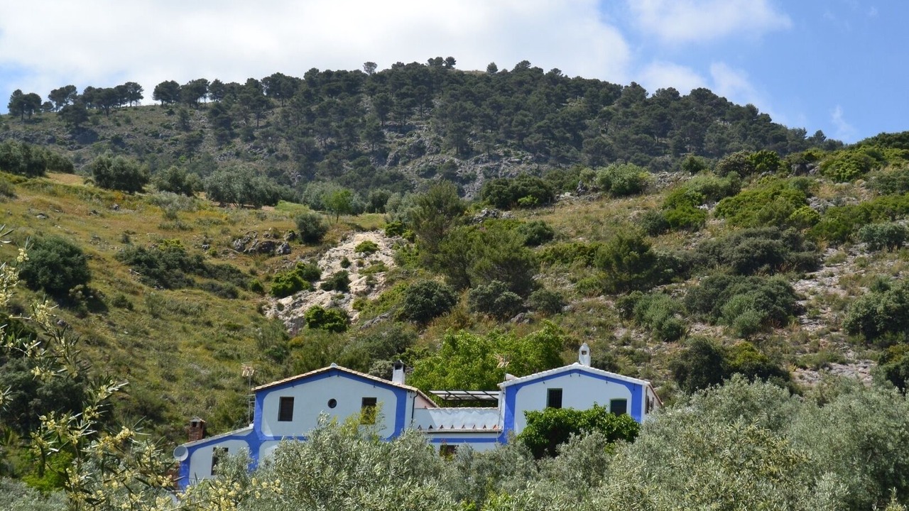 Photo of Outdoor in Rute