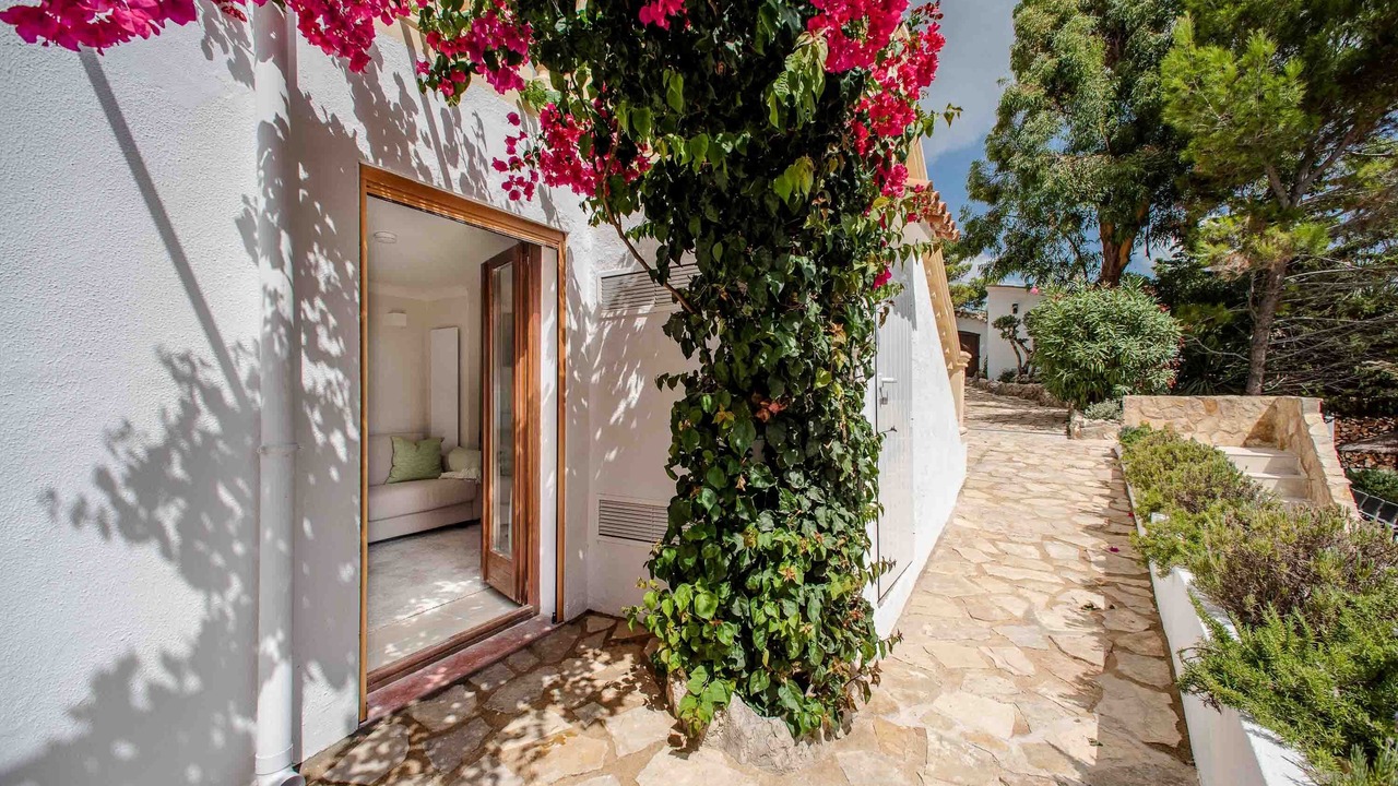 Photo of Outdoor in Galilea