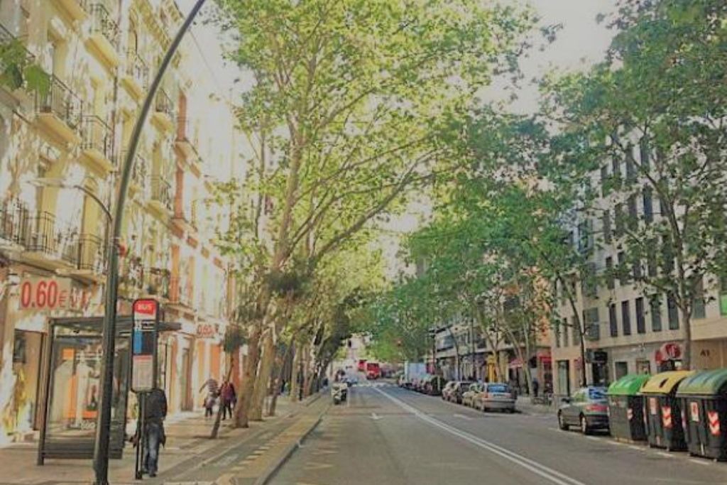 Photo of Outdoor in Barrio de Jesus