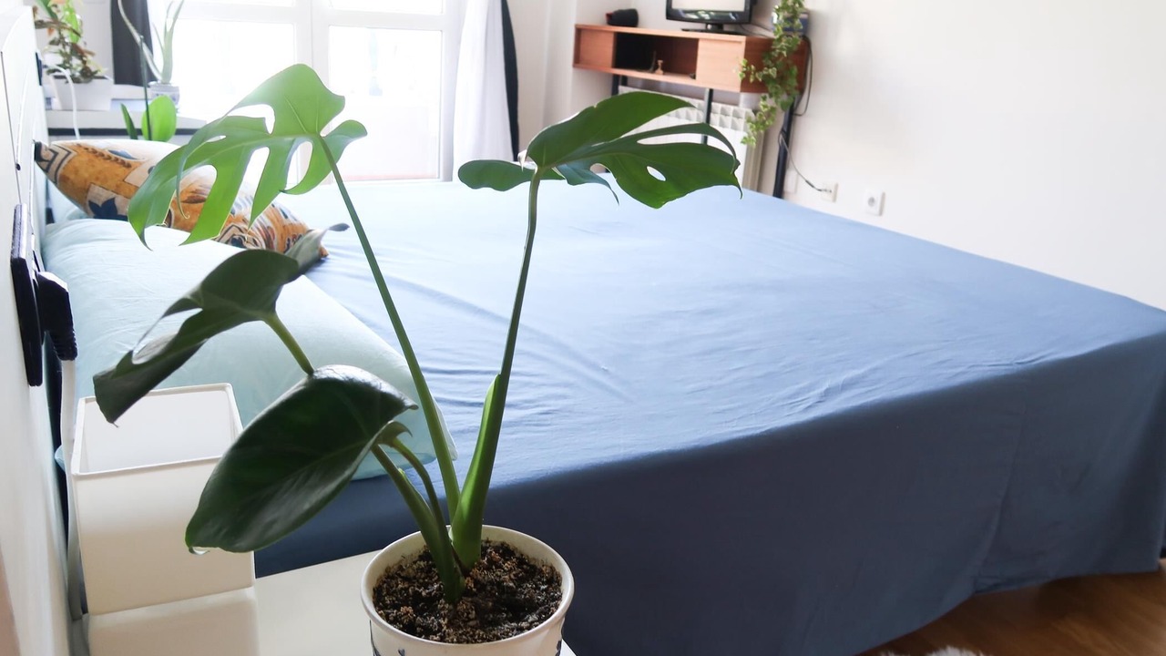 Photo of Bedroom in Leon