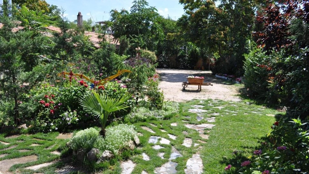 Photo of Outdoor in Olmedo