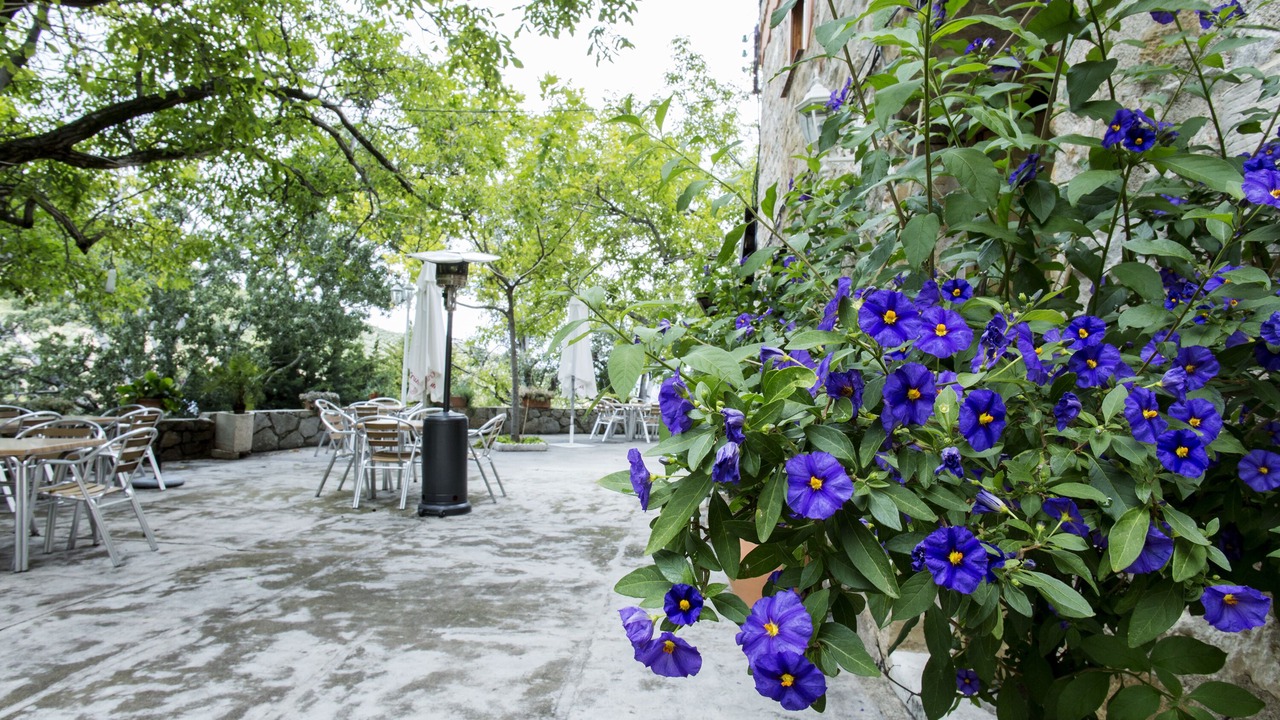 Photo of Outdoor in Los Villares