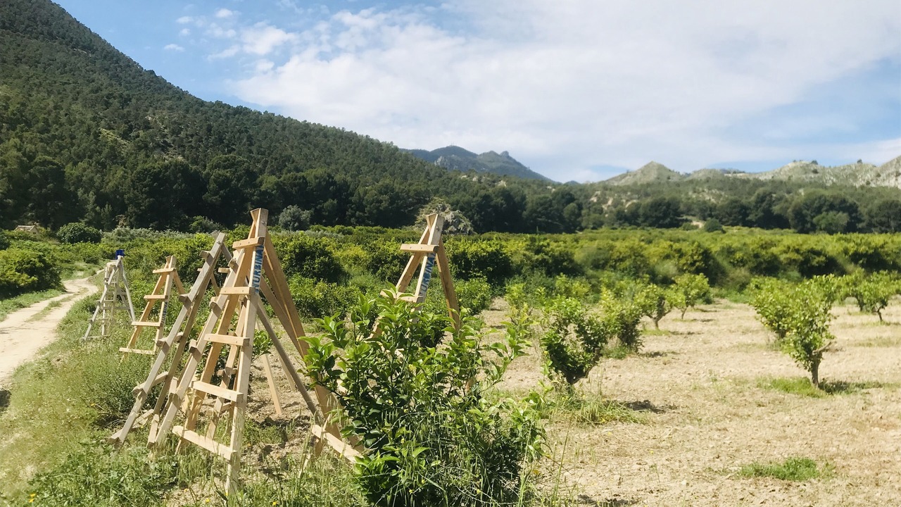Photo of Outdoor in Huerta de Arriba