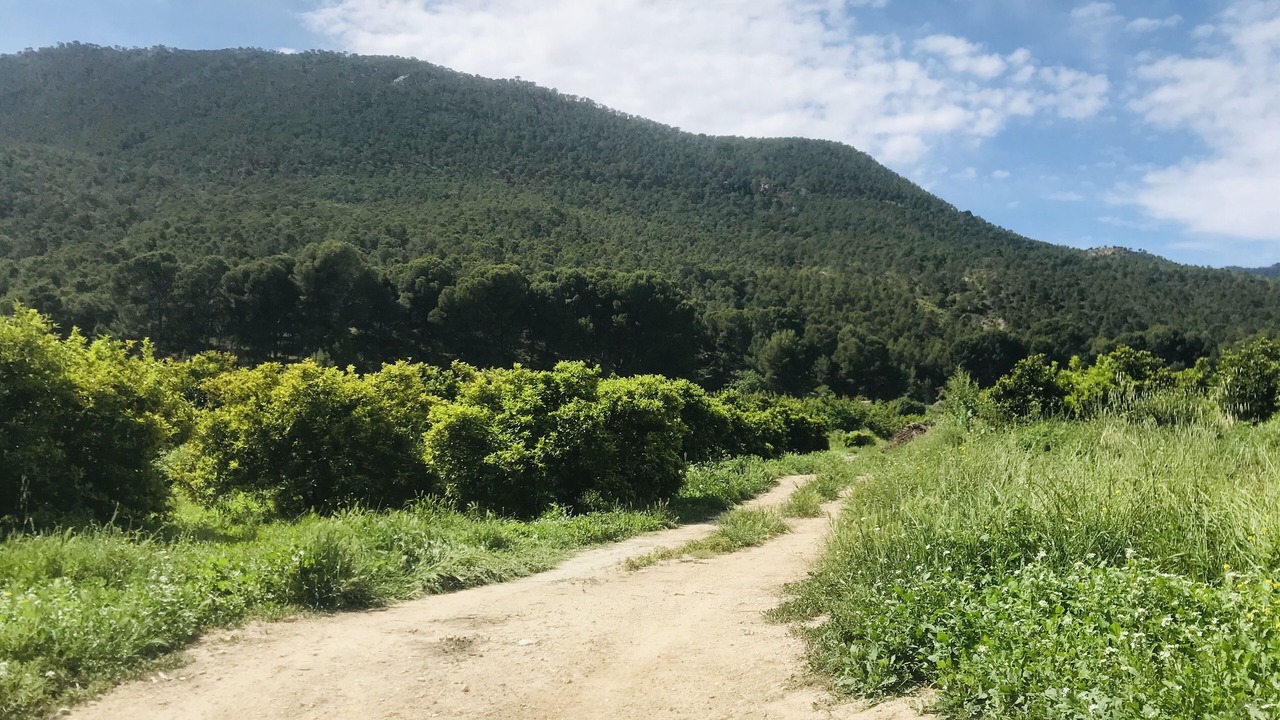 Photo of Outdoor in Blanca