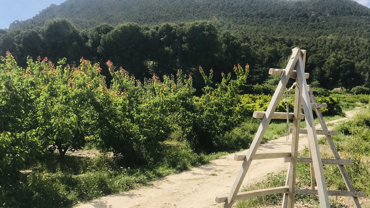 Photo of Outdoor in Blanca