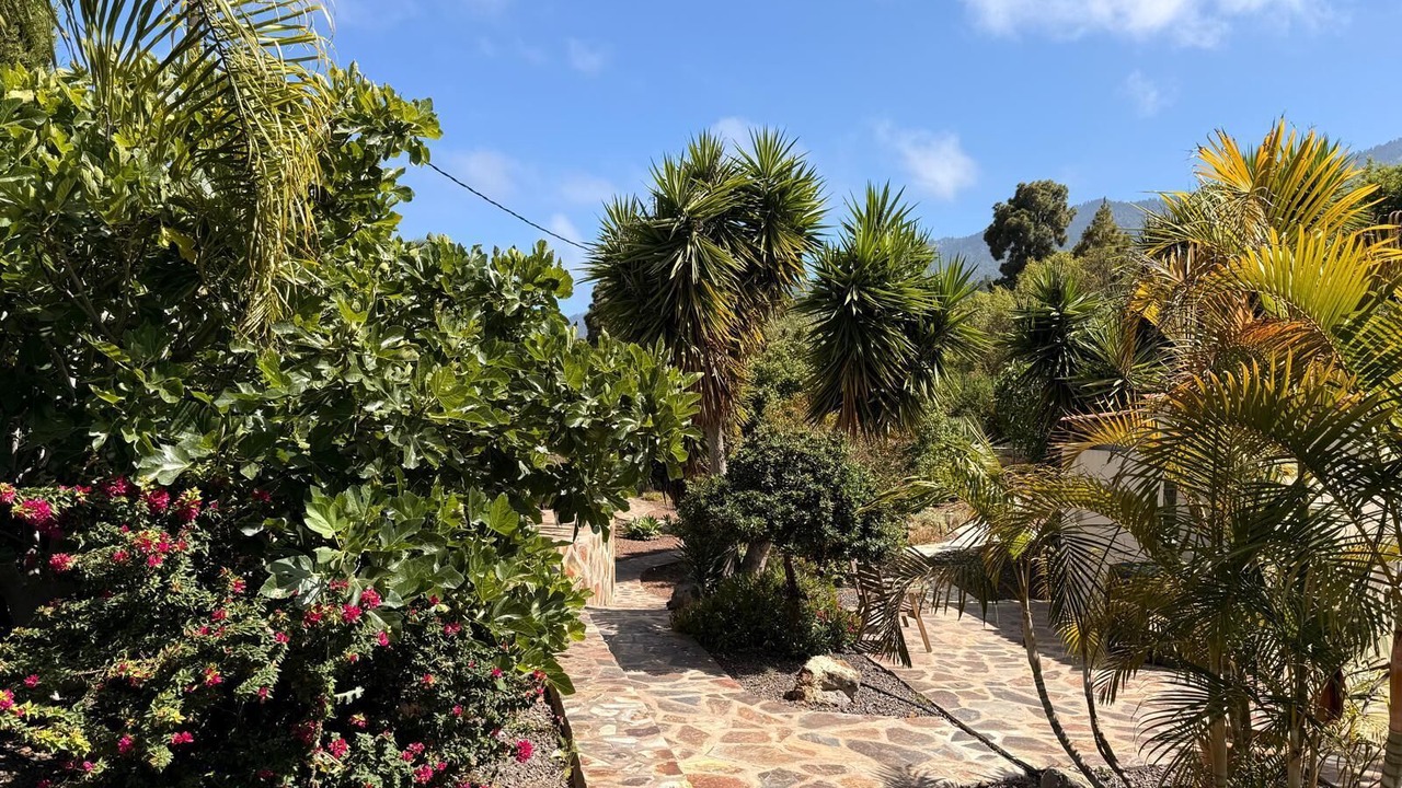 Photo of Outdoor in Arecida