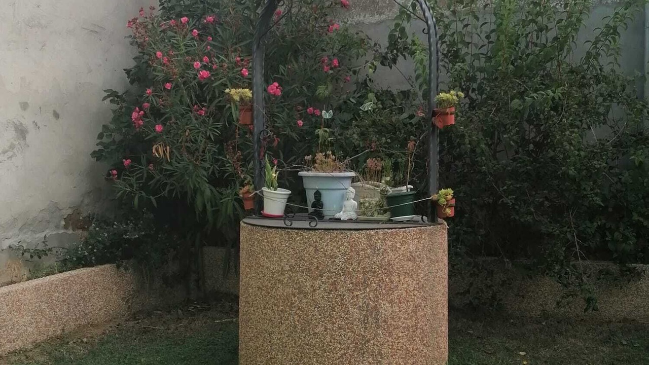 Photo of Outdoor in Husillos