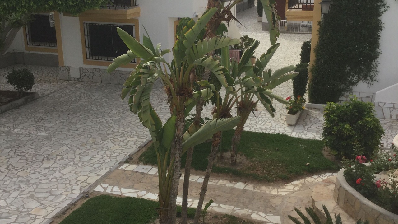 Photo of Outdoor in Puerto Rey