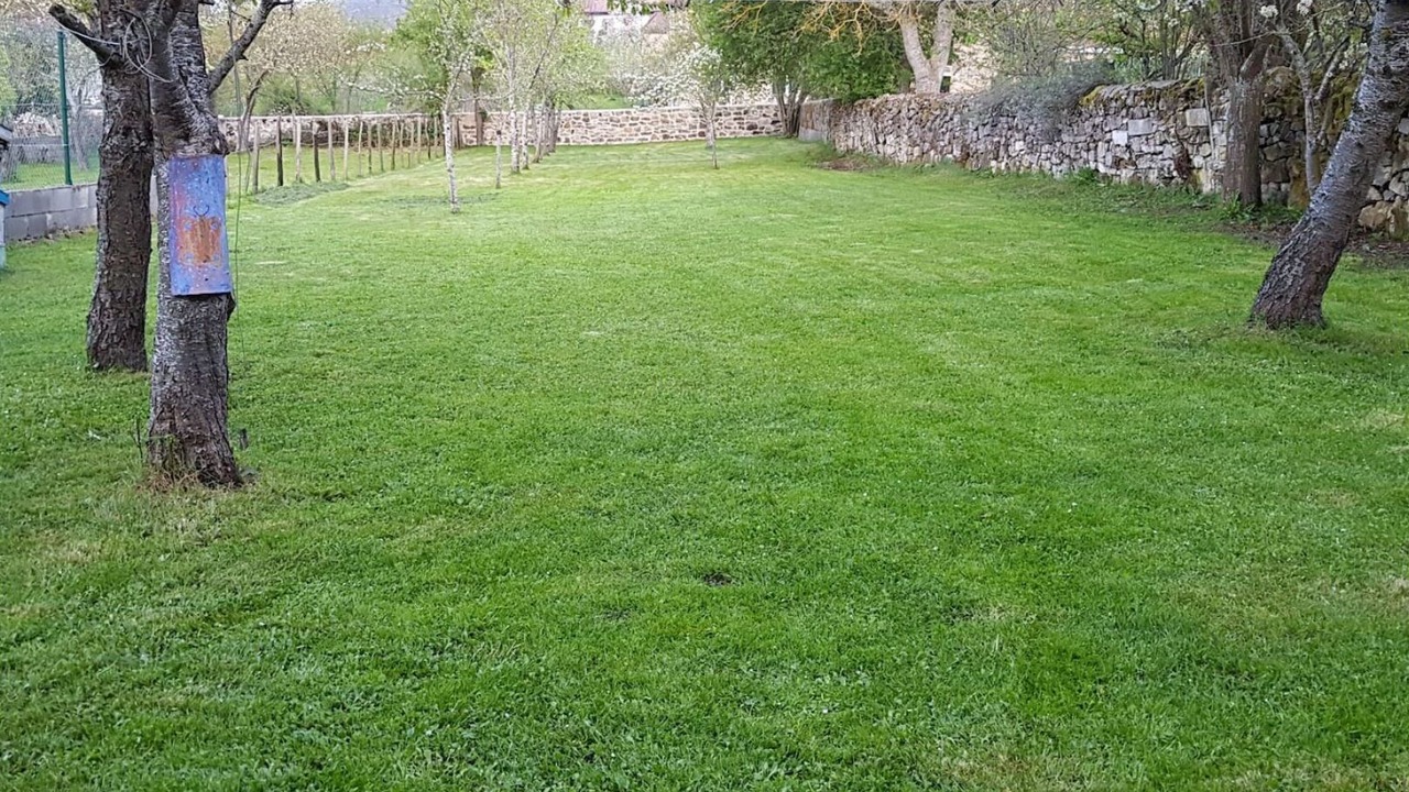 Photo of Outdoor in Las Rozas