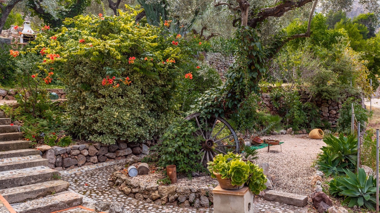 Photo of Outdoor in Escorca