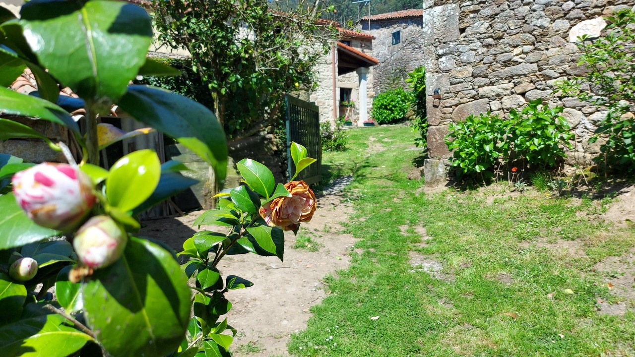 Photo of Outdoor in Oza de los Rios